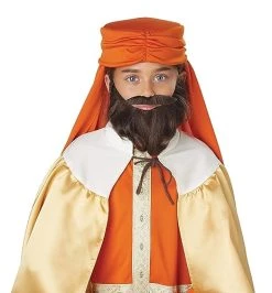 California Costumes Wise Man Brown Wig And Beard Standard 6 California Costumes Wise Man Brown Wig And Beard Standard -California Costume Collections Shop 41z9RwMMzbL