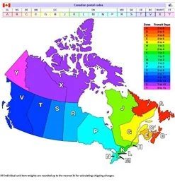 California Costumes The Rogue Moustache Goatee Patch -California Costume Collections Shop 510Gkmw87VL