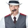 California Costumes Men's Gangster Stache -California Costume Collections Shop 51KEYUcMPIL