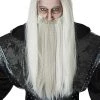 Adult Dark Wizard Wig And Beard Set