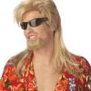 California Costumes Beach Bro Wig And Beard -California Costume Collections Shop 51VU9QR8h1L