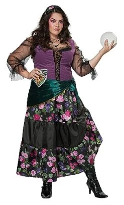 California Costumes Womens Mystical Charmer Adult Plus Costume