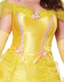 California Costumes Women's Classic Beauty Fairytale Princess Long Dress Gown -California Costume Collections Shop 51iHiyjFSyL 1