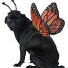 CALIFORNIA COSTUME COLLECTIONS Pet MONARCH BUTTERFLY Dog Costumes, Black/Orange, M Neck 14 -16 Girth 20 -24 Back 16 US -California Costume Collections Shop 51r8DWzN XL