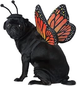 CALIFORNIA COSTUME COLLECTIONS Pet MONARCH BUTTERFLY Dog Costumes, Black/Orange, M Neck 14 -16 Girth 20 -24 Back 16 US -California Costume Collections Shop 51r8DWzN XL. AC