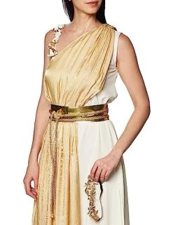Golden Goddess Womens Mythology Adult Costume -California Costume Collections Shop 51xYQU9SKcL
